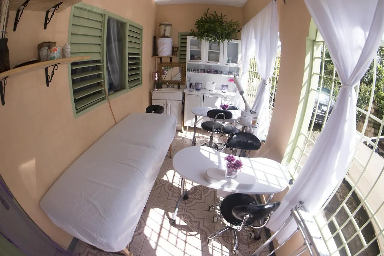 Celebrity Yoga & Healing Retreat Lejlighed Ocho Rios 0*,